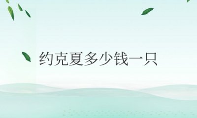 现在纯种约克夏多少钱一只 纯种约克夏的价格现在是多少？