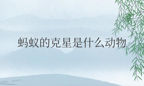蚂蚁的克星是什么动物