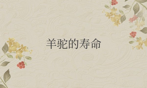 羊驼的寿命一般多少年？最长能活多久？