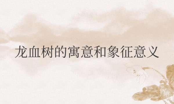 龙血树的寓意和象征意义和风水