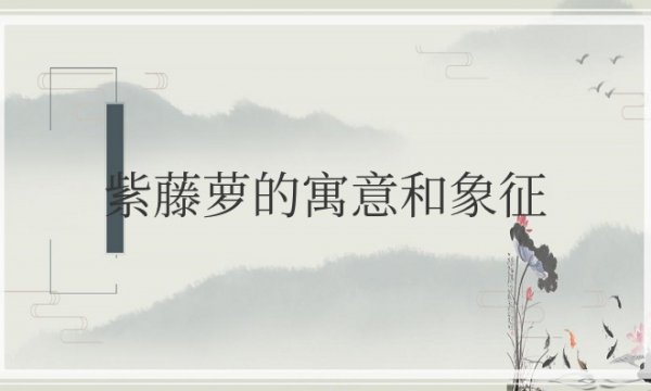 紫藤萝的寓意和象征意义