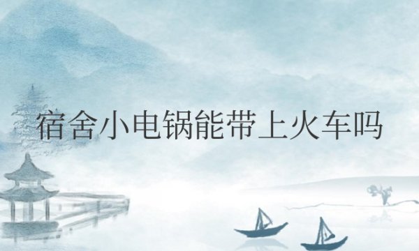 宿舍小电锅能带上火车吗现在