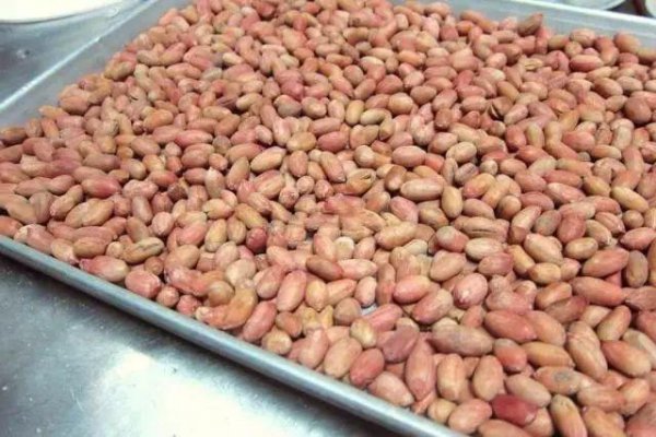 生花生米冷藏还是冷冻好