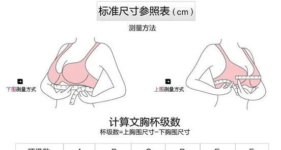 88胸围是几罩杯