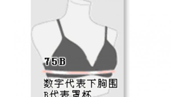 88胸围是几罩杯