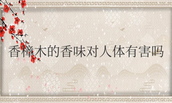 香樟木的香味对人体有害吗