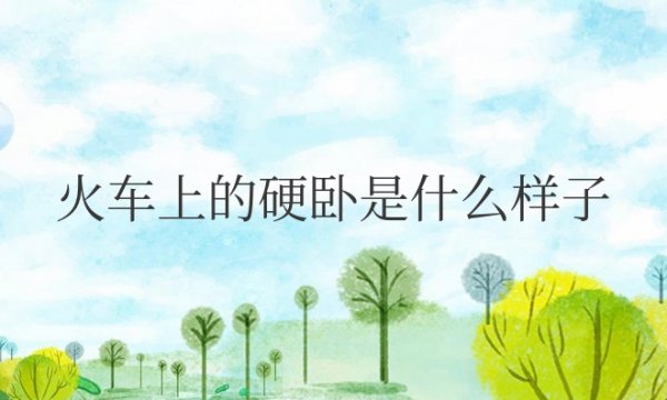 火车上的硬卧是什么样子的图片