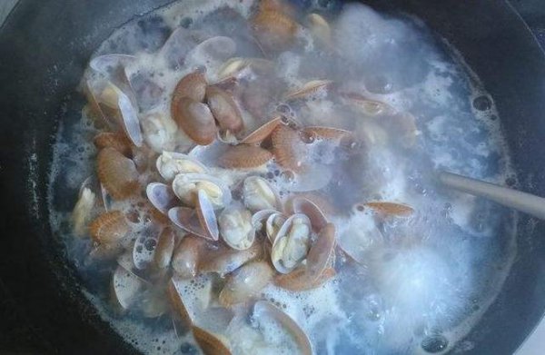 花蛤煮几分钟会熟可以杀灭寄生虫