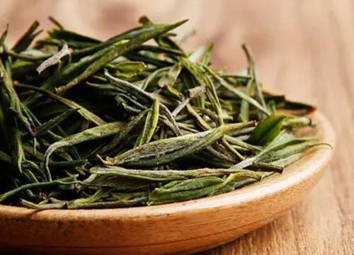 浙江白茶哪里产的最出名最好喝