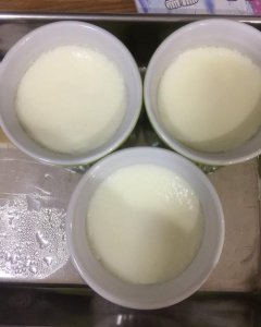 为什么自制双皮奶有一股蛋味 自制双皮奶为何带有蛋味？