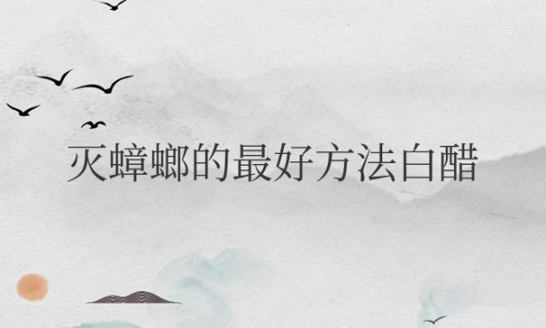 灭蟑螂的最好方法白醋能杀虫吗