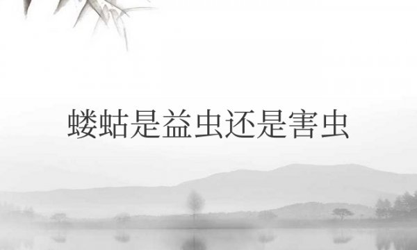 蝼蛄是益虫还是害虫