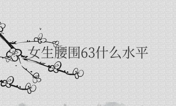 女生腰围63什么水平