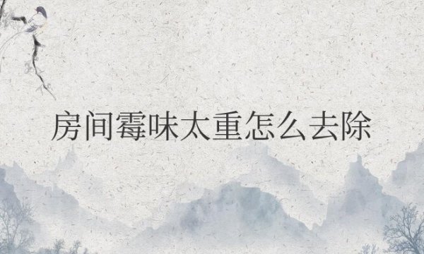 房间霉味太重怎么去除？空调除湿有用吗？