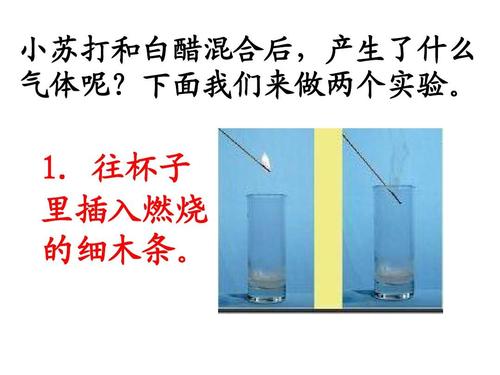 小苏打加白醋的化学反应原理