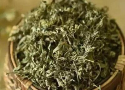 闻艾草对人身体有害吗 闻艾草是否对人体有害？