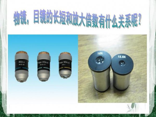 目镜越长放大倍数越大还是越小