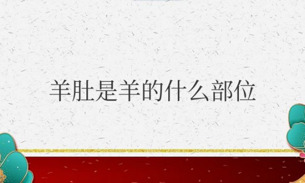 羊肚是羊的什么部位图片