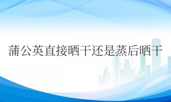 蒲公英直接晒干还是蒸后晒干效果好