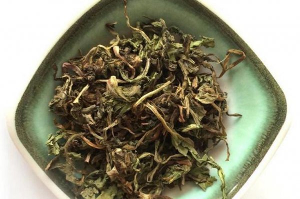 蒲公英直接晒干还是蒸后晒干效果好