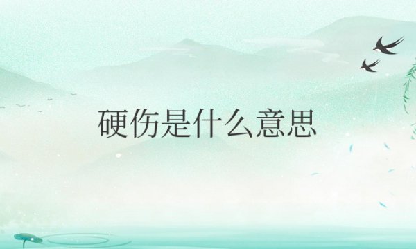 身高是硬伤是什么意思