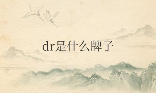 dr是什么牌子衣服的标志