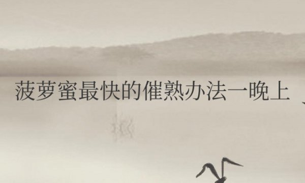 菠萝蜜最快的催熟办法一晚上