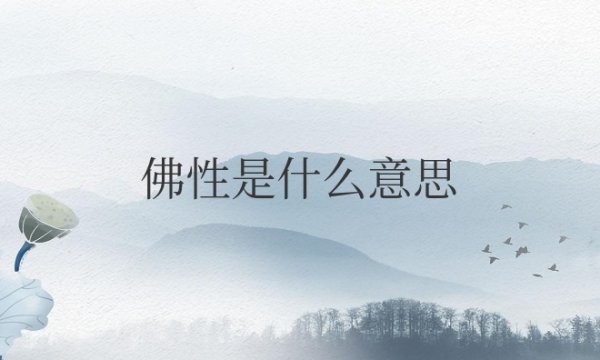 网络用语佛性是什么意思