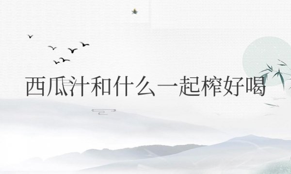 西瓜汁和什么一起榨好喝