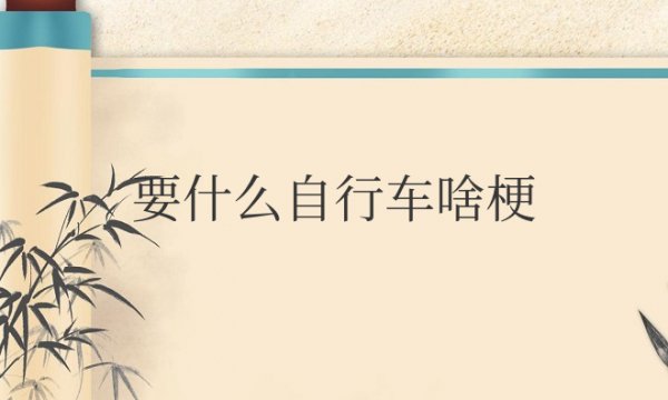 要什么自行车啥梗