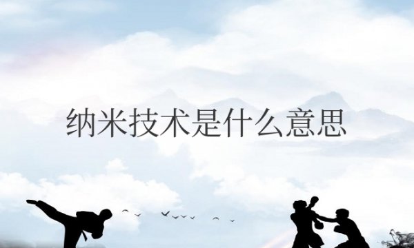 纳米技术是什么意思