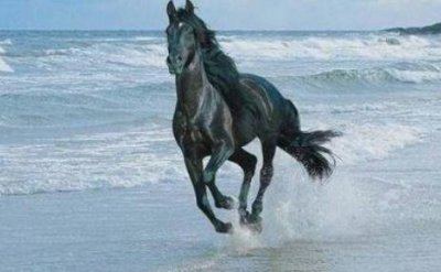 被排挤最明智的做法 被排挤怎么办最有效的方法