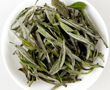 白茶适合什么季节喝 白茶哪个季节适合喝