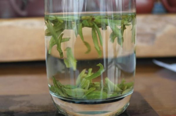 白茶适合什么季节喝