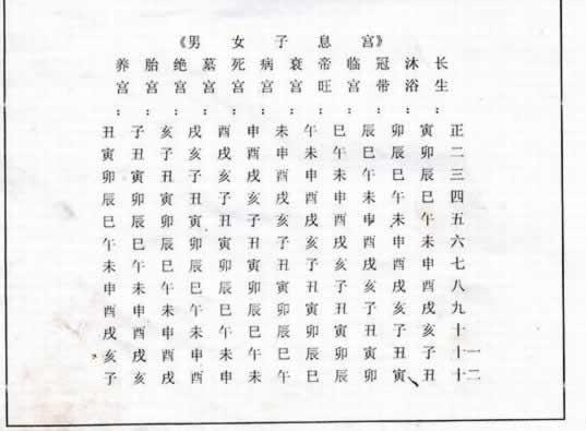 夫妻宫图解大全