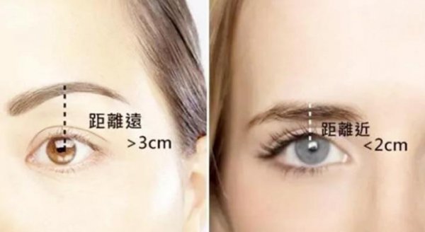 眼距宽的女人好不好
