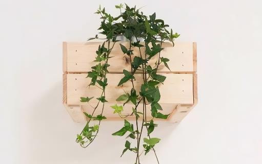 挽回爱情的6句话