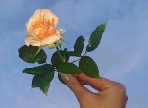 什么样的感觉叫心动