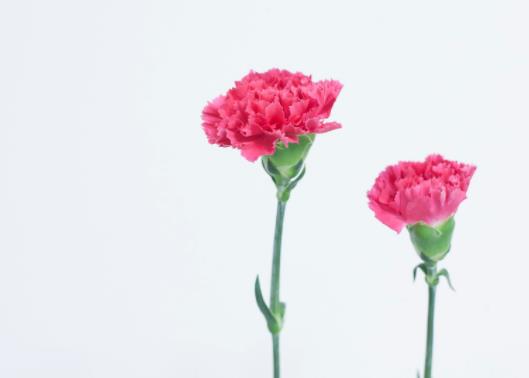 中年女人气质油腻是怎么回事