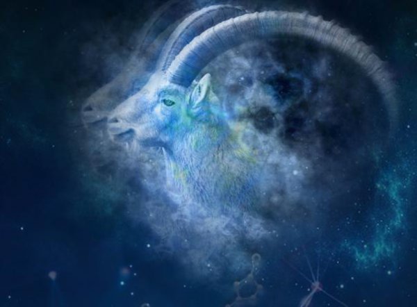 离不开老婆的星座男