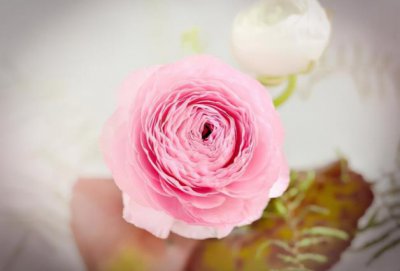 异地夫妻怎么维持婚姻 异地夫妻怎么维持好感情