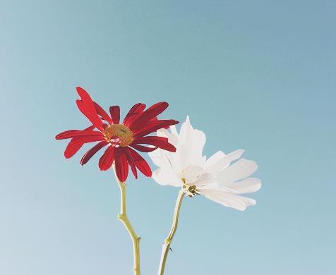 老年人要学会享受孤独