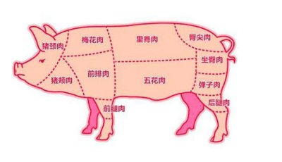 猪身上最贵的一块肉是在哪个部位 猪的哪个部位最便宜