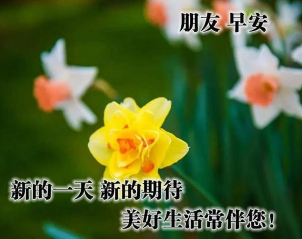 女人最想听的早安情话