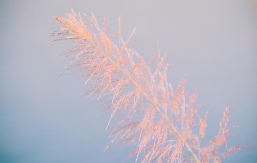 男人的八个寿命坎