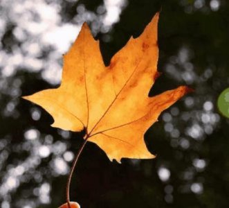 跟小人闹了矛盾怎么办 与小人发生矛盾该怎样理智解决