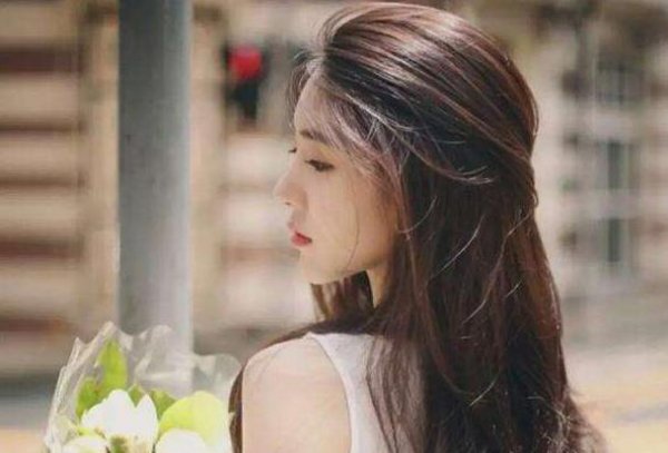 淡然如菊的意思是什么