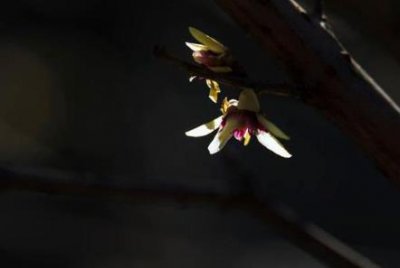 什么才称得（SHANG）门当户对 婚姻要讲究门当户对吗