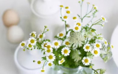 亲人一旦翻脸怎么办 亲人耍心眼怎么处理