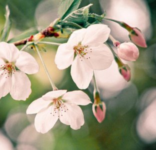 女生看见丑男什么表现 女生看见丑男有什么反应